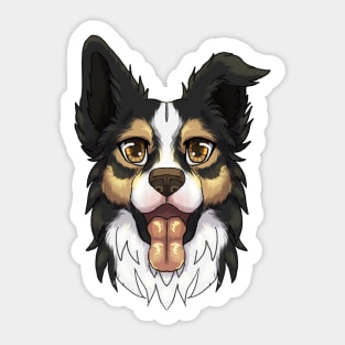 Tricolor Border Collie Sticker